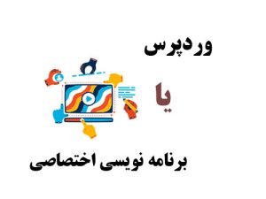 وردپرس یا برنامه نویسی